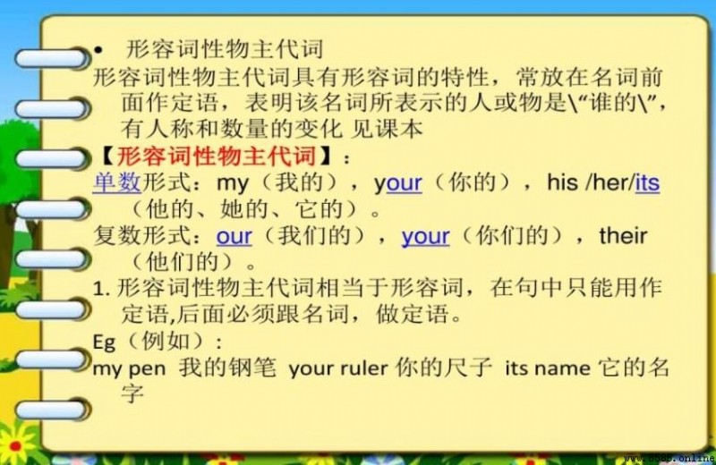 形容詞性物主代詞定義與用法解析