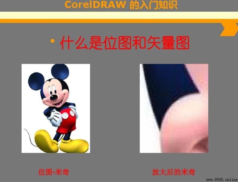 什麼是位圖?解析位圖的定義與特點