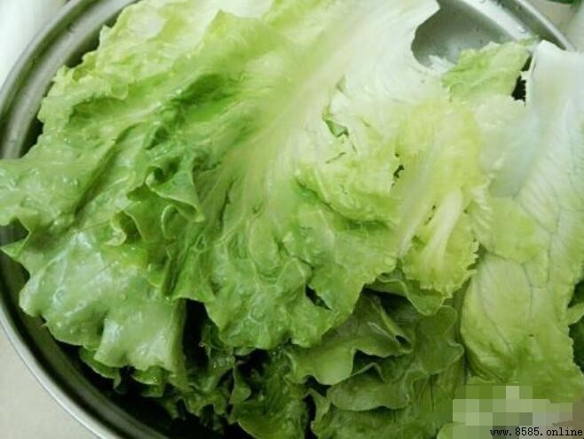 減肥蔬菜沙拉簡易做法與食材選擇