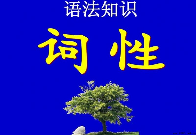 「是」是什麼詞性
