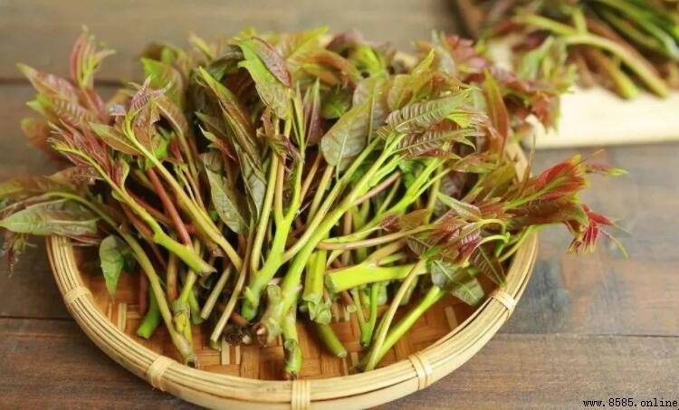 香椿需要焯水嗎?正確處理方法與原因解析