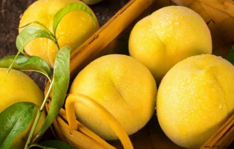 黃桃是溫性水果：熱性還是涼性？
