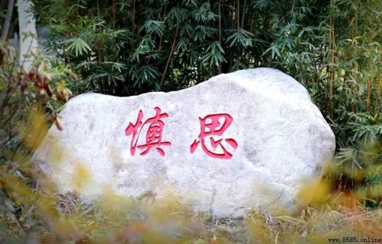 笃行如何造句：實踐與例句指南