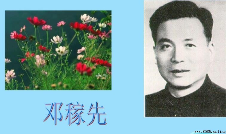 如何撰写关于邓稼先的作文——范文与写作指导