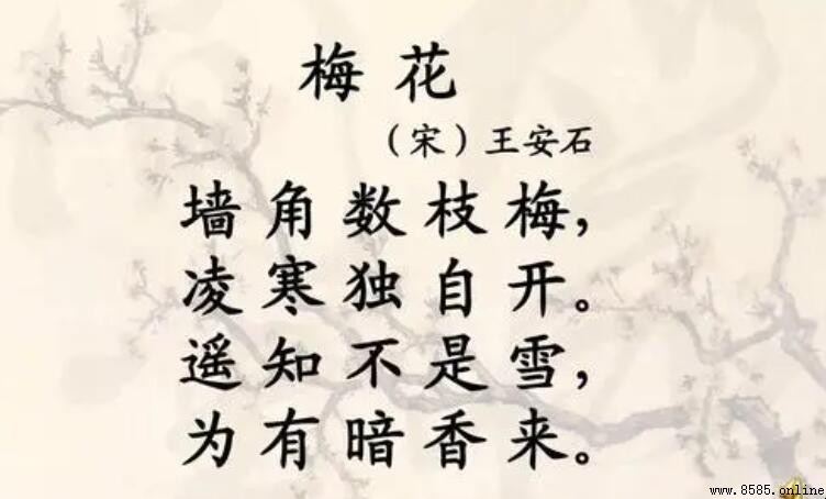 《梅花》的作者是誰