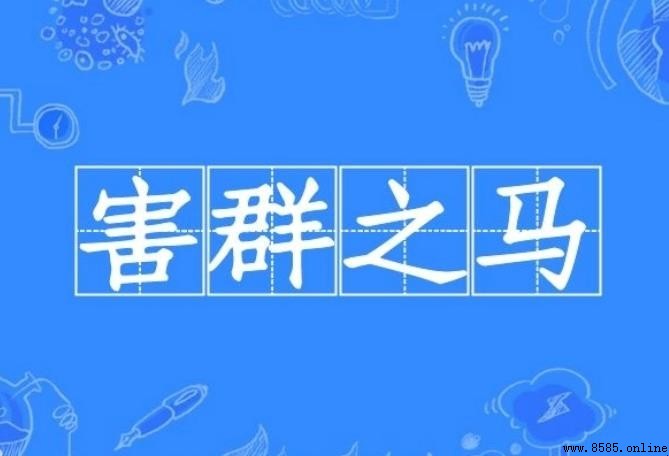 害群之马的寓意与警示