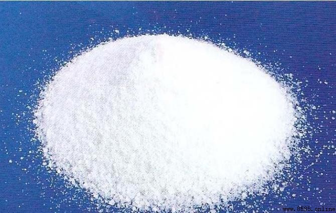 葡萄糖是单糖吗?解析其特性与生物功能
