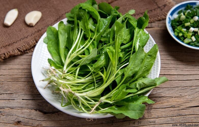 荠菜的功效與作用