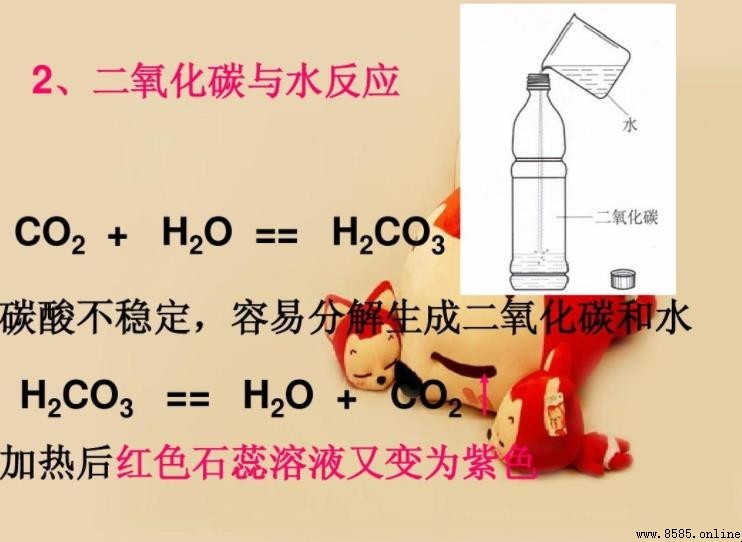 二氧化碳與水反應的現象