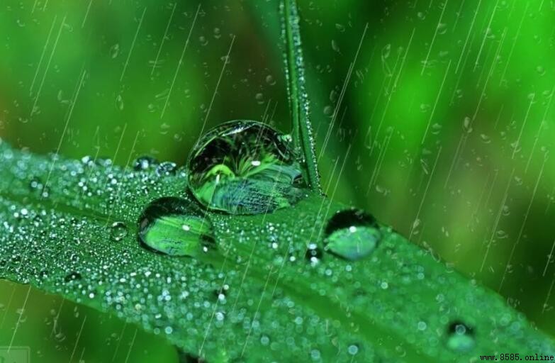 雨一直下的心情說說集