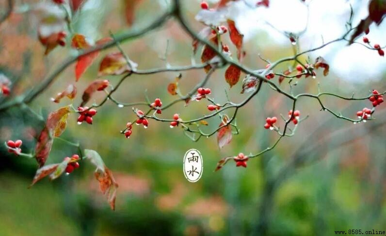 雨水節氣的傳統習俗有哪些