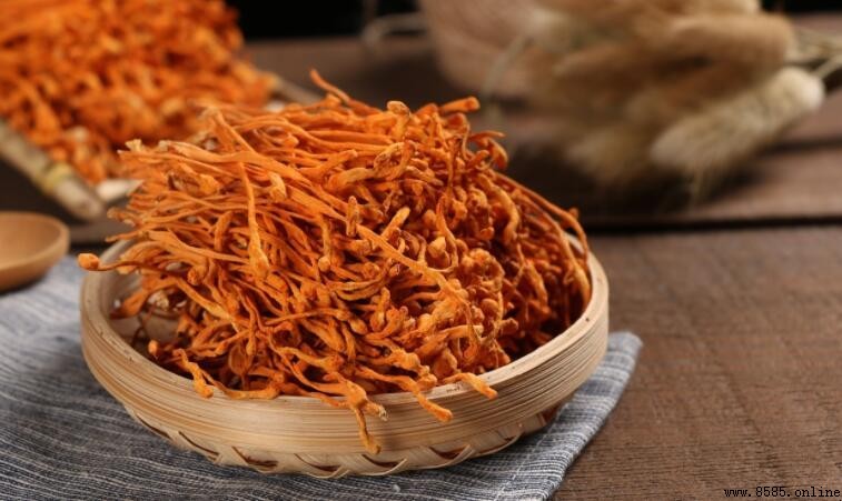 蟲草花不能和什麼一起吃？一文說明禁忌食物與原因