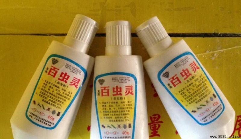 噴灑殺蟲劑後多久可進室？安全入住指南