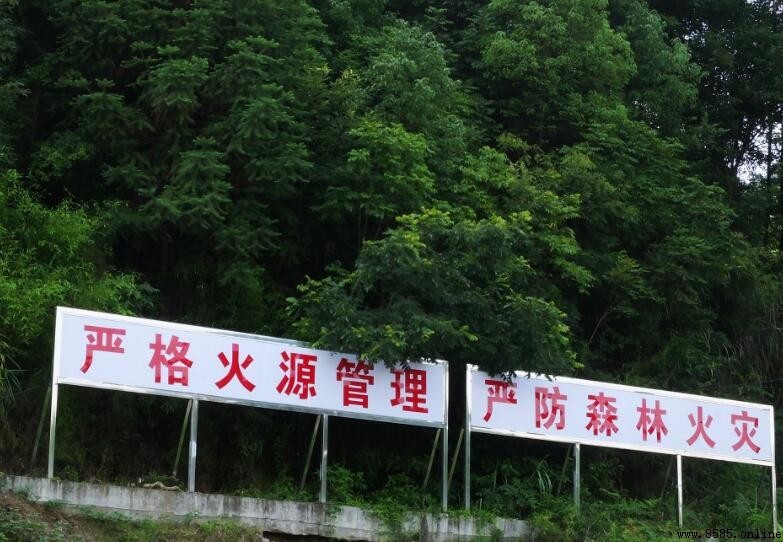 森林防火注意事項