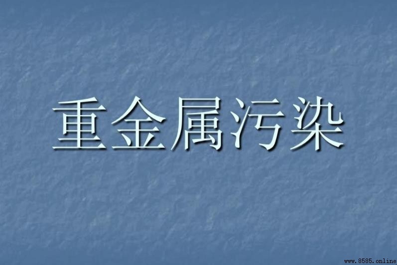 什麼是重金屬?定義、範疇與健康風險解析