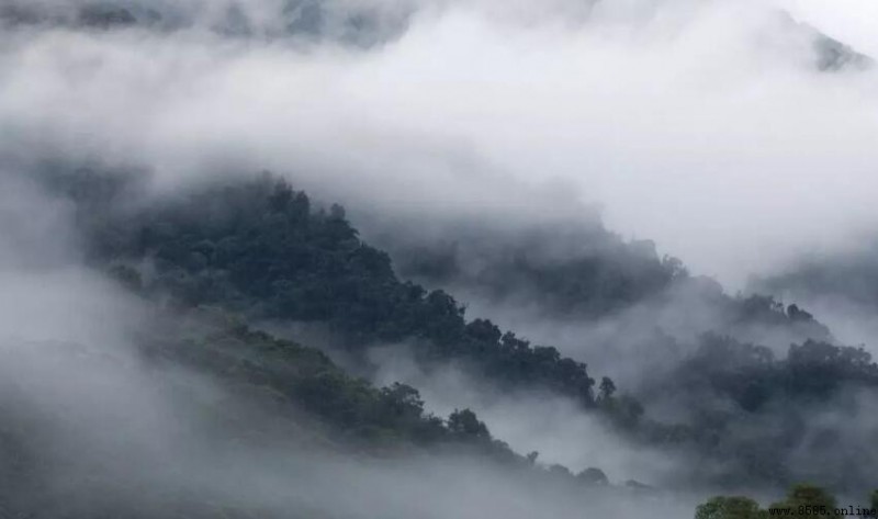 霧的形成是什麼物態變化