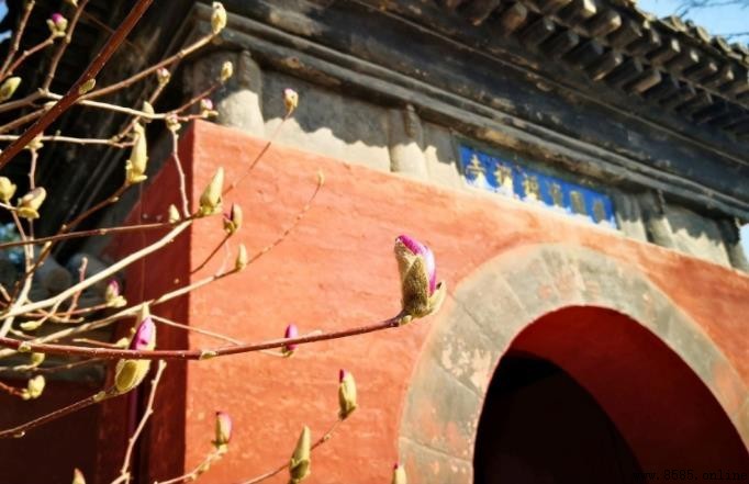 紅螺寺歷史沿革探源：千年古刹的皇家佛緣