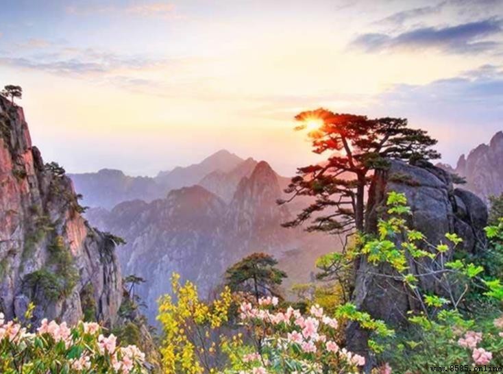 黃山最佳旅遊季節推薦｜四季景觀點與實用資訊