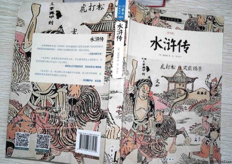 《水浒传》第十一回主要内容概括