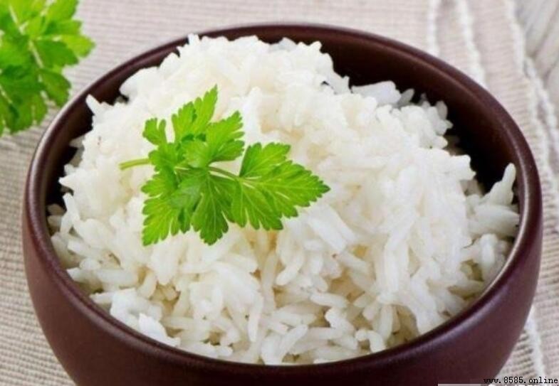面熱量高還是米熱量高？詳細比較與說明