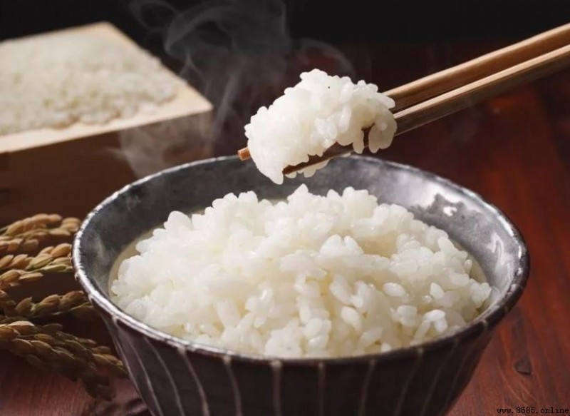 大米的熱量與營養解析