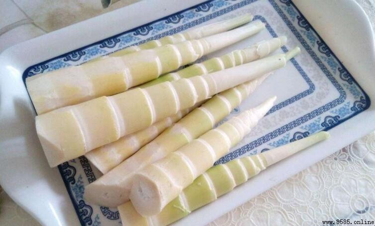 竹筍是發物嗎?揭開春季佳餚的性質與食用注意事項