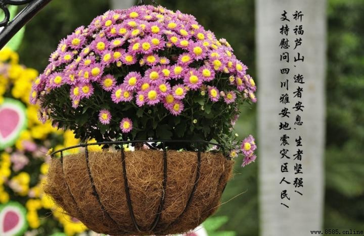 節哀順變成语出處