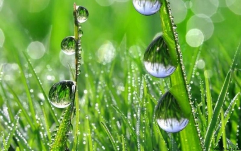 雨水節氣農事活動指南
