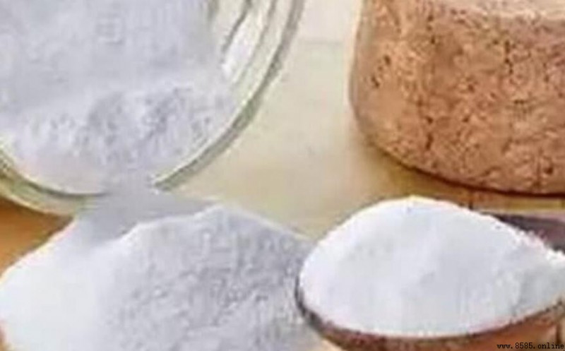 沒有小蘇打可以用什麼代替?4種常見替代品及食用鹼比較