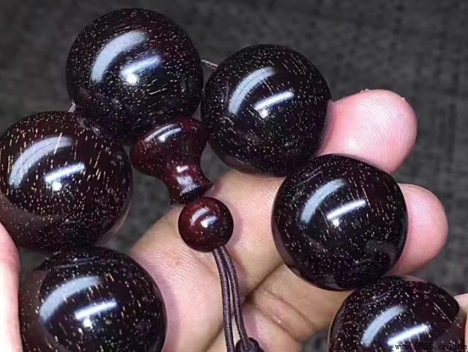 小葉紫檀形態特徵解析