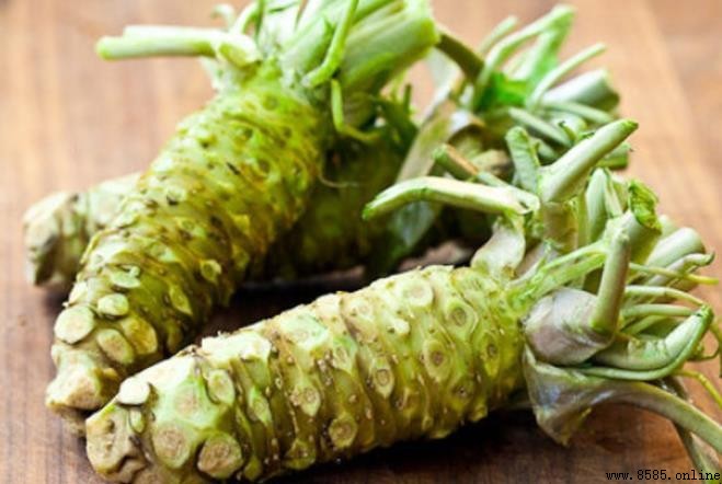 山葵形態特徵解析