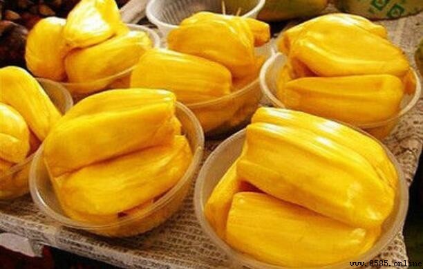 菠蘿蜜切口塗石灰的原因與做法