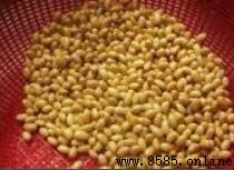 白醋豆腐怎么做:家庭自制详细步骤