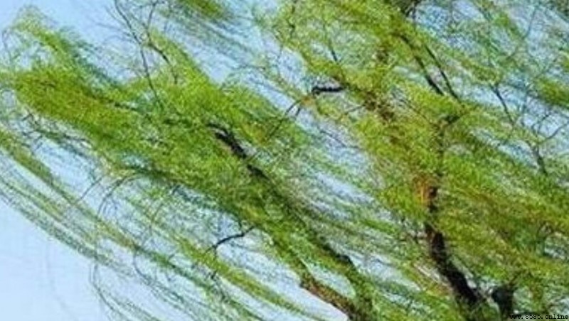 熟知的意思