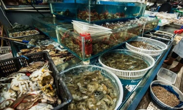 新手入行海鮮生意:關鍵步驟與實用建議
