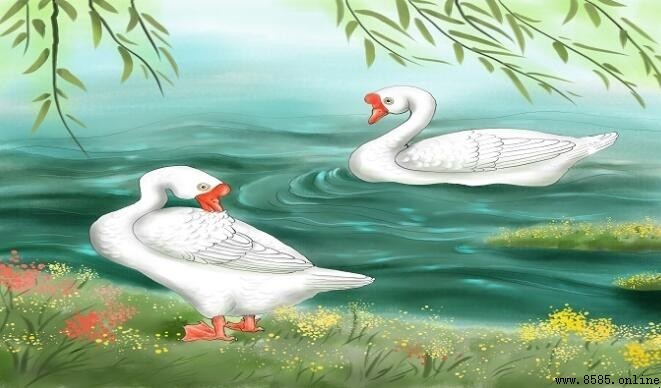 白毛浮綠水紅掌撥清波的原文是什麼