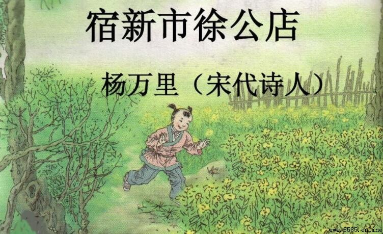 《宿新市徐公店》屬於什麼類型的詩