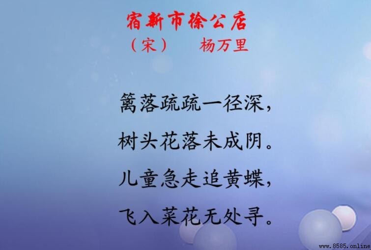 《宿新市徐公店》作者朝代：楊萬裡
