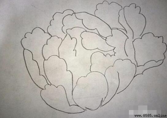 牡丹花簡筆畫教學:7 步繪製教程