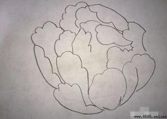 牡丹花簡筆畫教學:7 步繪製教程