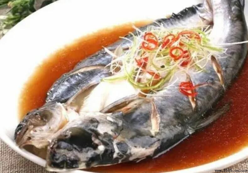開背魚是什麼魚