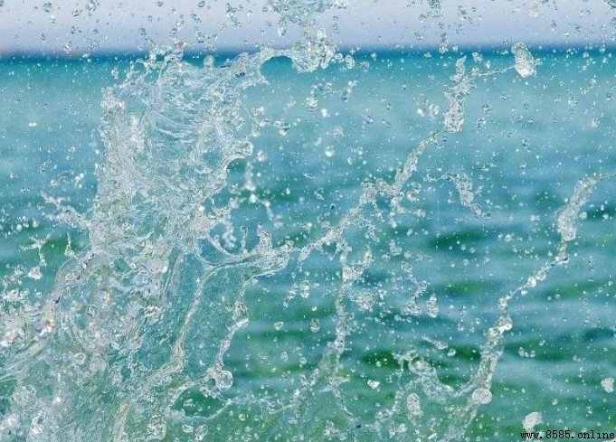 水化物的生成條件與性質解析