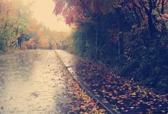 秋雨成因探解：為何秋季常見連續降雨？