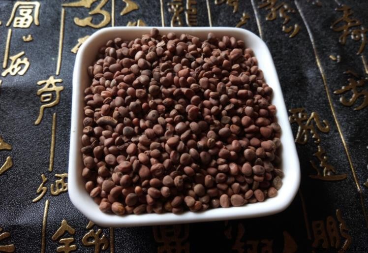 萊菔子的生理特性介紹