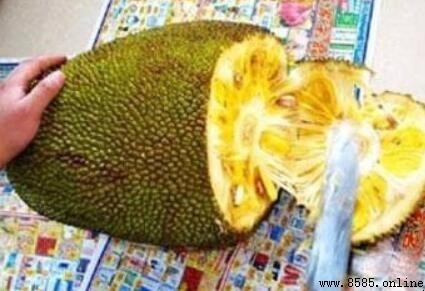 菠蘿蜜怎麼剝:分步圖解輕鬆學會