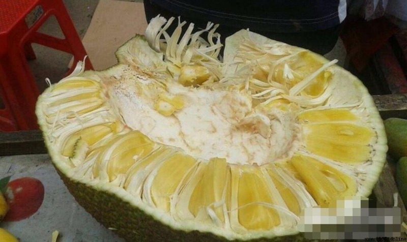 菠蘿蜜怎麼剝:分步圖解輕鬆學會