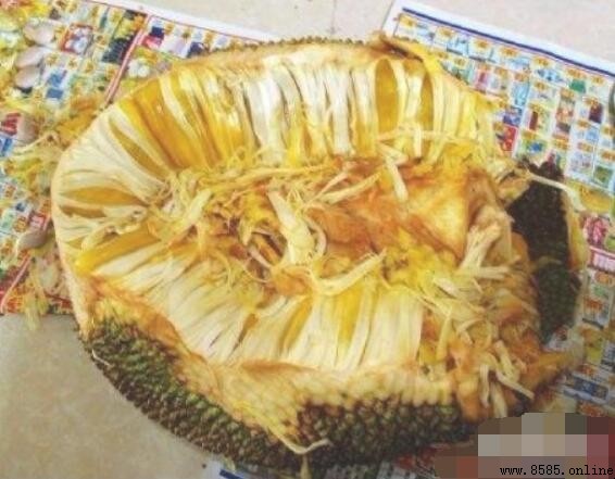 菠蘿蜜怎麼剝:分步圖解輕鬆學會