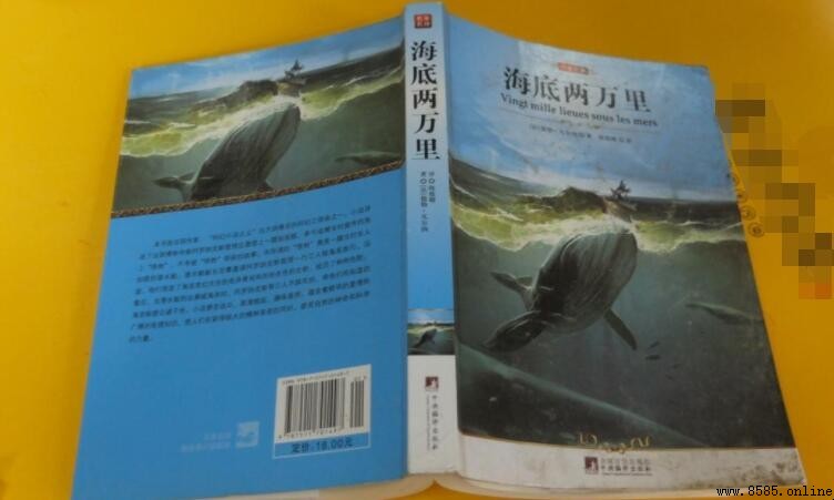 《海底兩萬裡》主要角色介紹