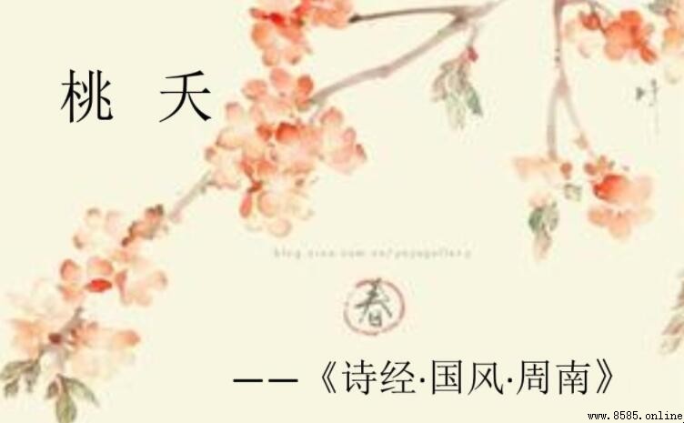 《周南·桃夭》原文與翻譯解析