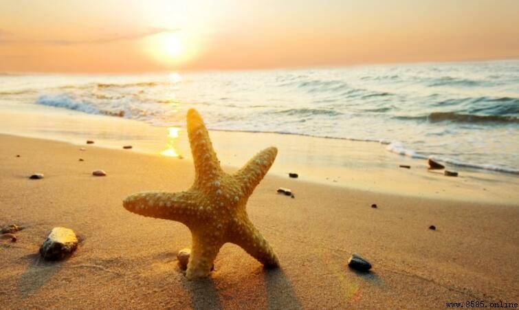 海边十字短句集:浪漫文案与灵感指南